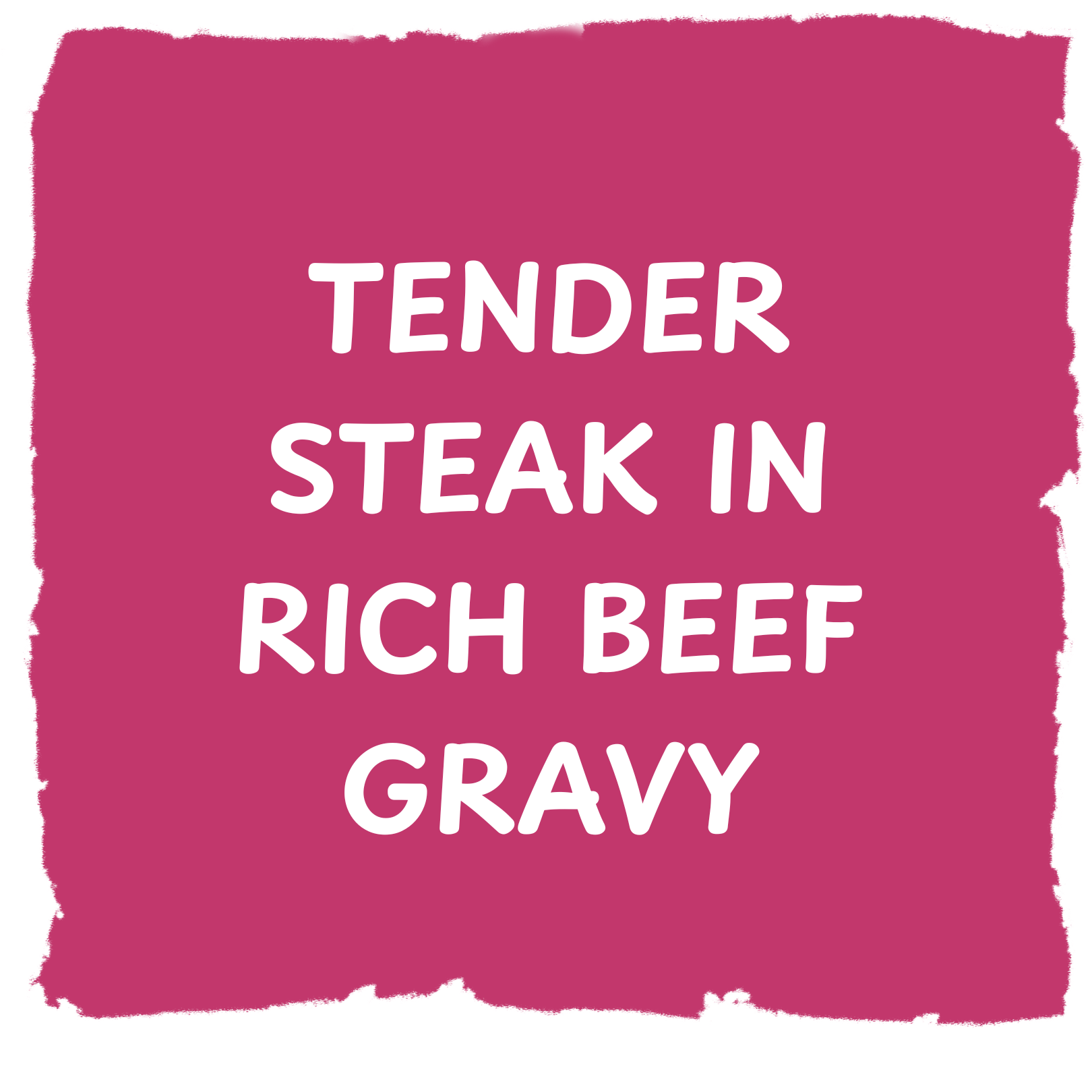 PIELANDER - Steak Pie 9oz